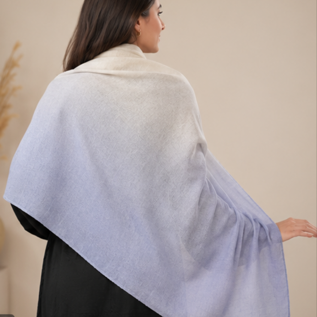 Pure hand woven Kashmiri pashmina cream/blue two toned textured stole