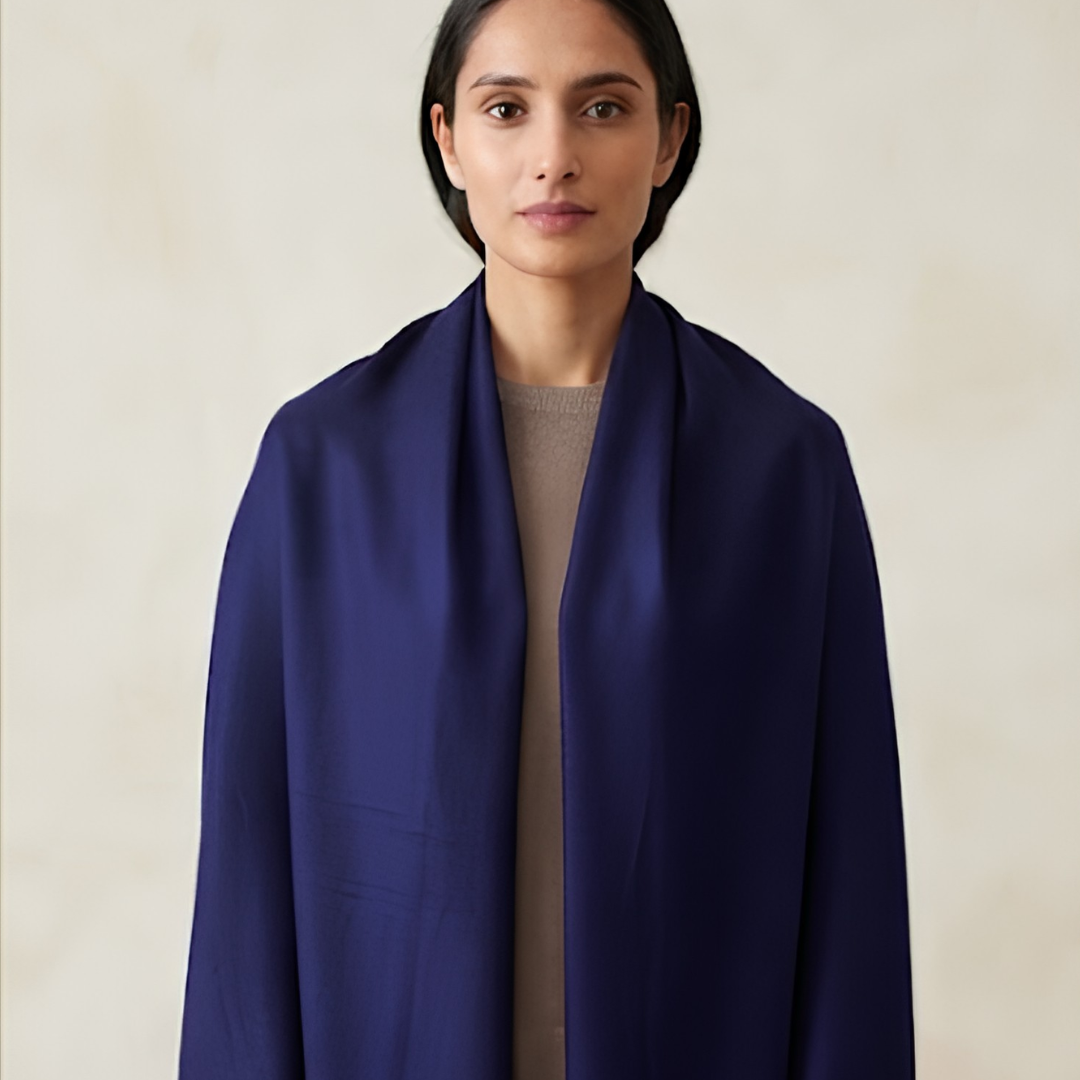 Pure hand woven Kashmiri pashmina puple shaded shawl