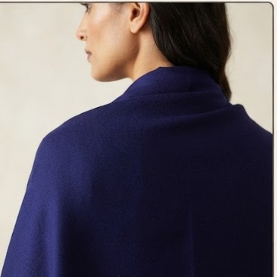Pure hand woven Kashmiri pashmina puple shaded shawl