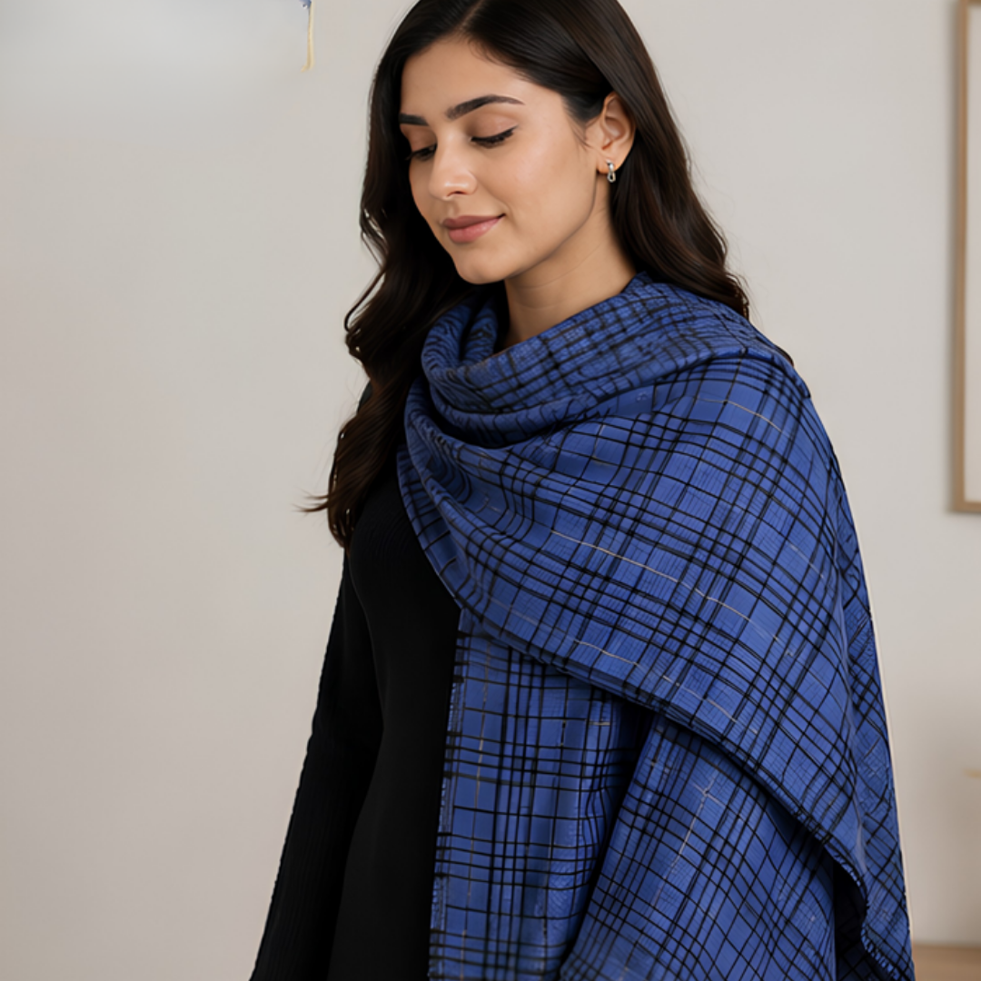 Pure hand woven Kashmiri pashmina blue striped/check two toned textured stole