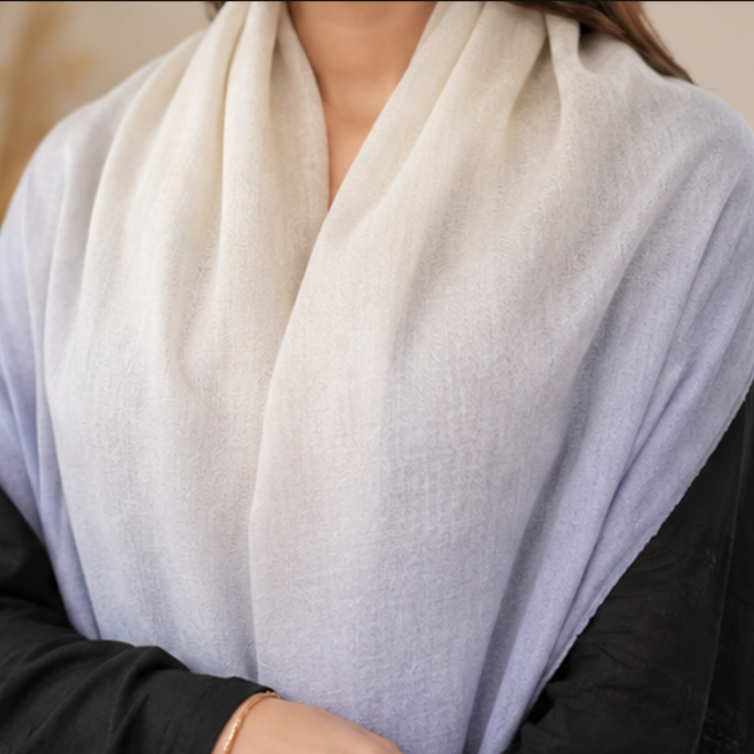 Pure hand woven Kashmiri pashmina cream/blue two toned textured stole