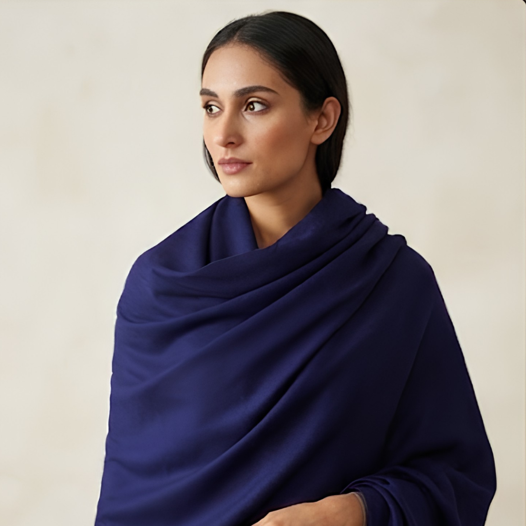 Pure hand woven Kashmiri pashmina puple shaded shawl